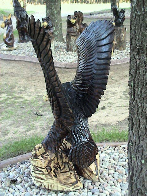 Spread Eagle Back